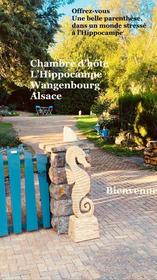 Wangenbourg-Engenthal L'Hippocampe 아파트 외부 사진