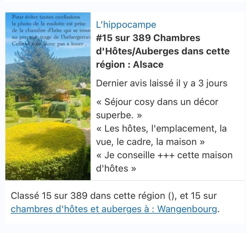 Wangenbourg-Engenthal L'Hippocampe 아파트 외부 사진